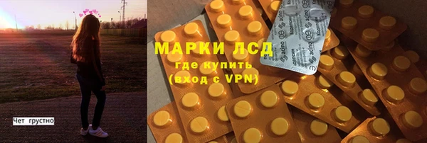 хмурый Пестово