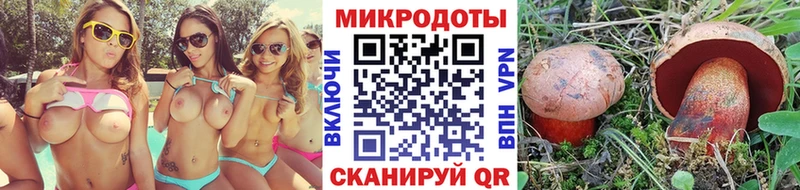 omg маркетплейс  это формула  Галлюциногенные грибы ЛСД  купить закладку  Калачинск 